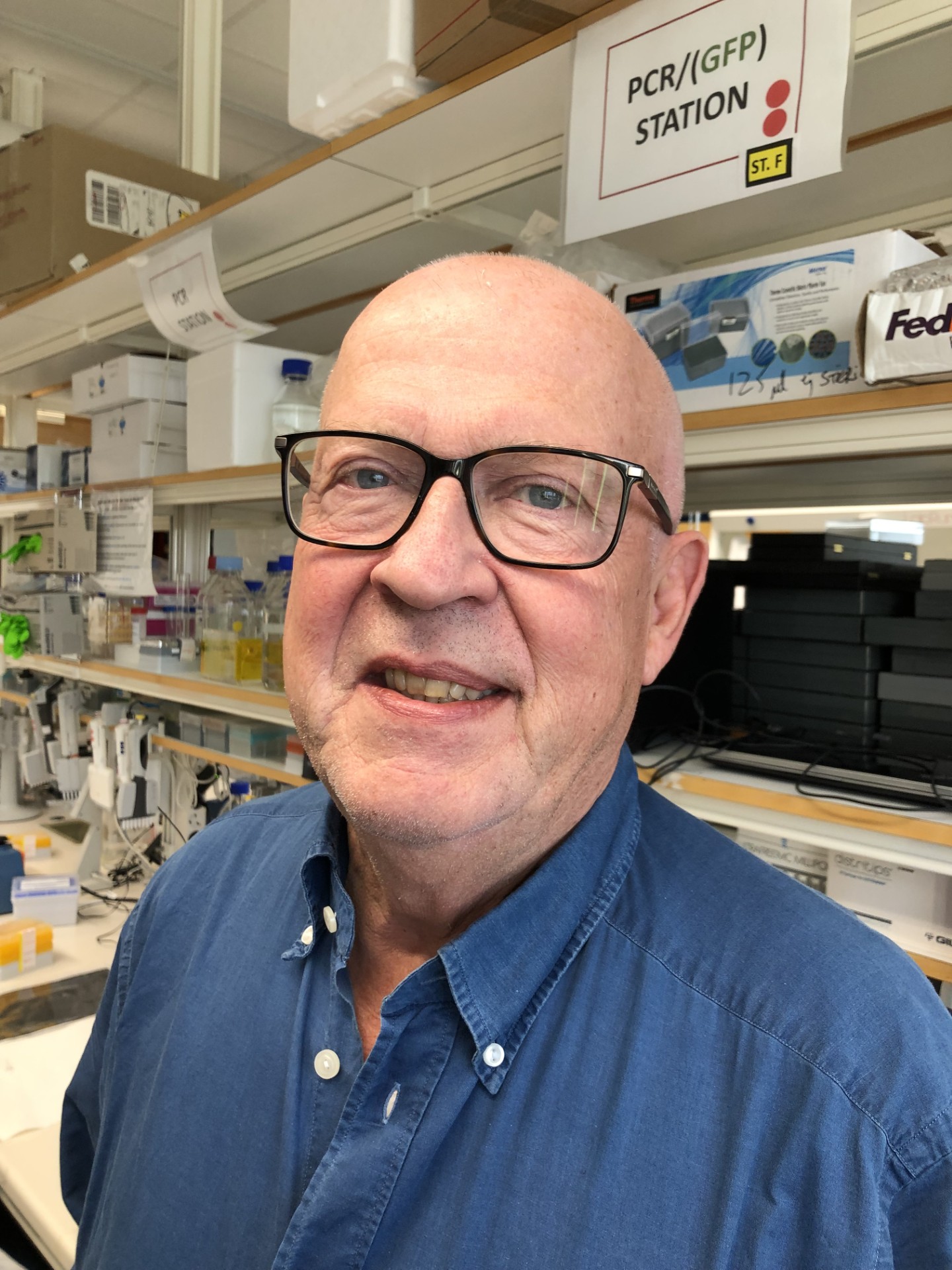 Tomas Olsson profile