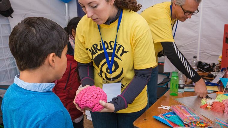 Researcher in yellow T-shirt showing a model pink brain to a boy in a blue top.