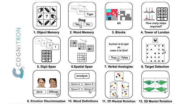 Examples of word and image-related cognitive tests